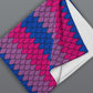 Bisexual Dragon Blanket